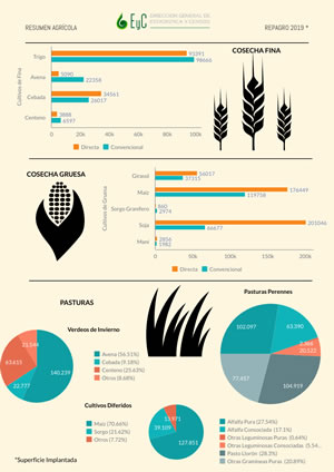 Infografia Repagro Agricola 2019